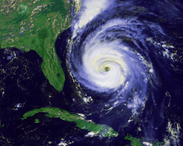 Disaster Preparedness